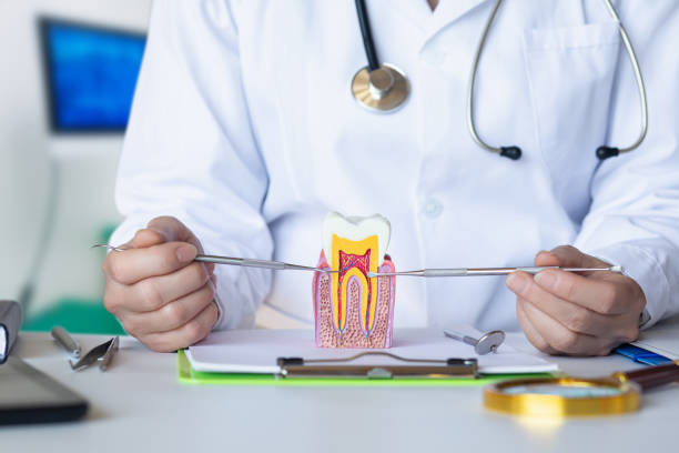 Best Weekend Emergency Dentist in Richland, MS
